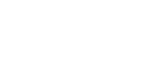 Elv